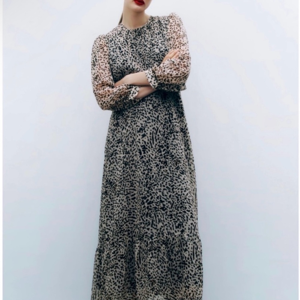 Zara Animal Print Leah Dress!